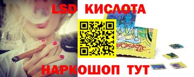 шишки Обнинск