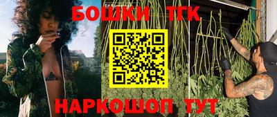 шишки Обнинск