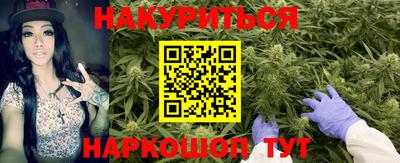 шишки Обнинск