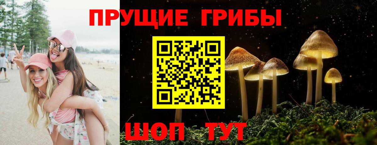 Обь  Галлюциногенные грибы Psilocybine cubensis  Вход с VPN 