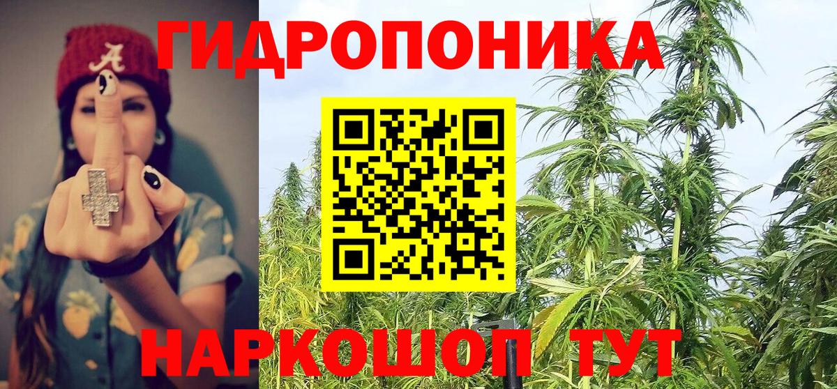 Бошки Шишки план  Бошки Шишки сатива  Бошки марихуана план  Вход с VPN  Обь 